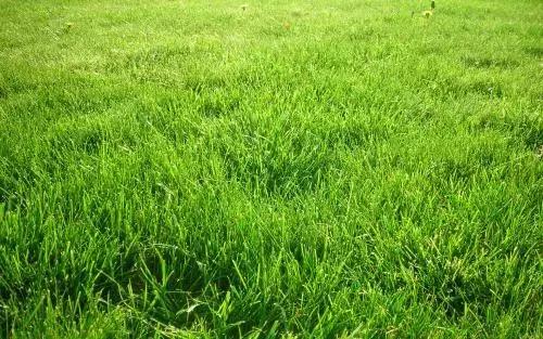 日本街头巷尾常用日文标识,日本街头到处都用汉字