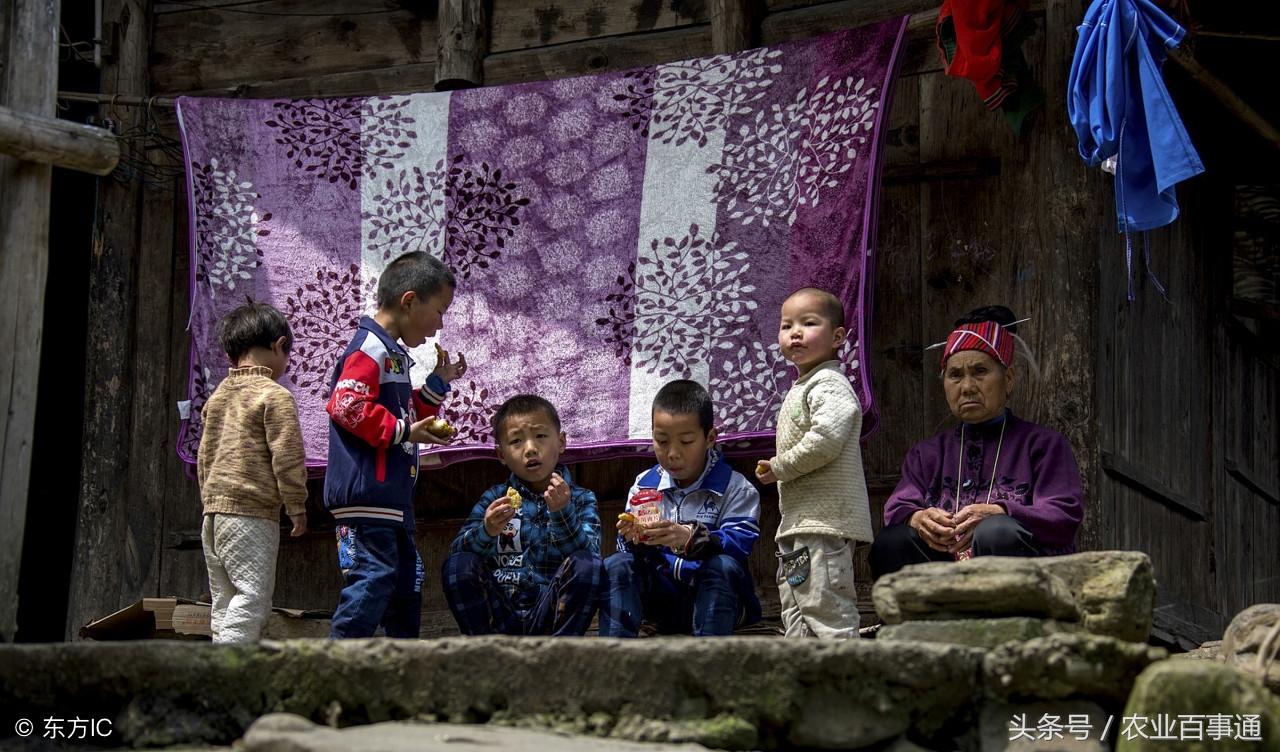 为什么说生孩子不要生三个,为什么说生孩子不生三个