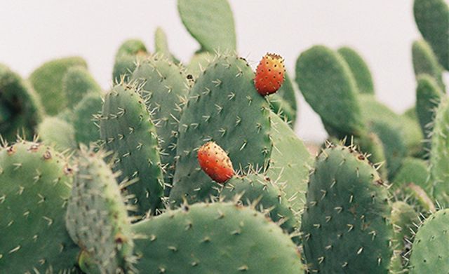 好物补水面膜推荐,好物推荐精华面膜