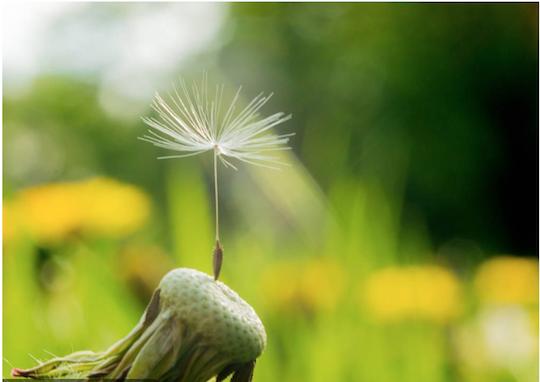 认知需要怎样提升,心理学上的认知提高法