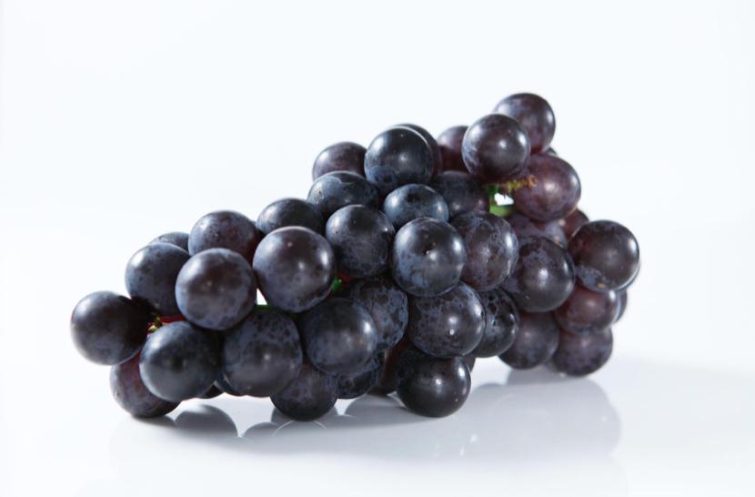 2017年9月巨峰葡萄批发价格现在,全国批发市场巨峰葡萄多少钱一斤