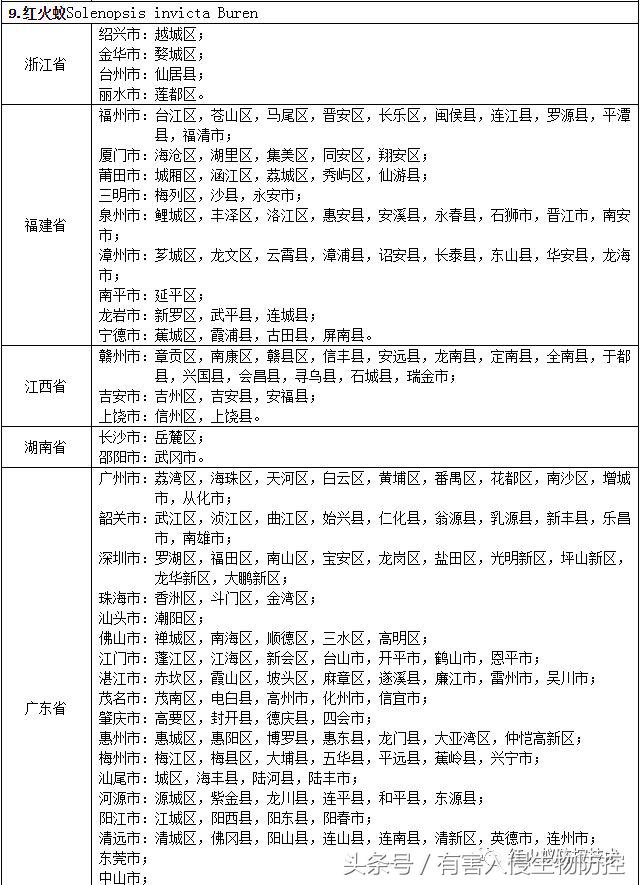 生物入侵红火蚁视频,红火蚁为什么是入侵物