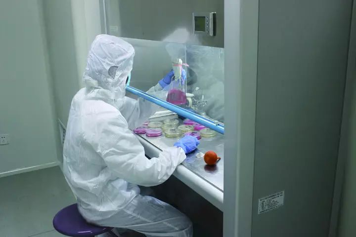 诸暨珍珠粉调面膜,诸暨面膜珍珠粉