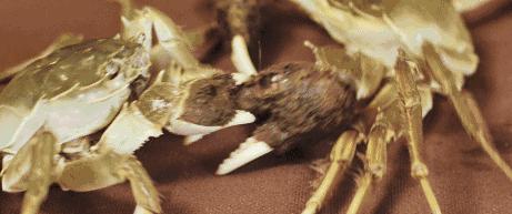 深藏居民区的老店,藏在巷子里的小店老字号