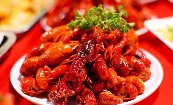 最新全国小龙虾的价格一览表,小龙虾到底有多赚钱