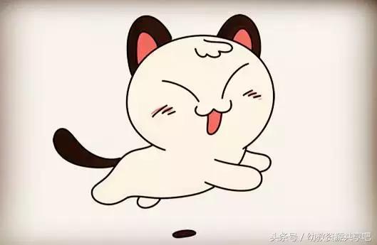 简笔画漂亮可爱猫咪,萌萌哒简笔画图片可爱小猫咪