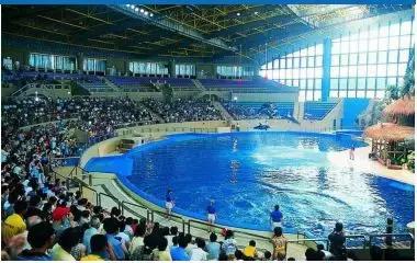 海底世界乐高大颗粒简单版,富国游海底世界