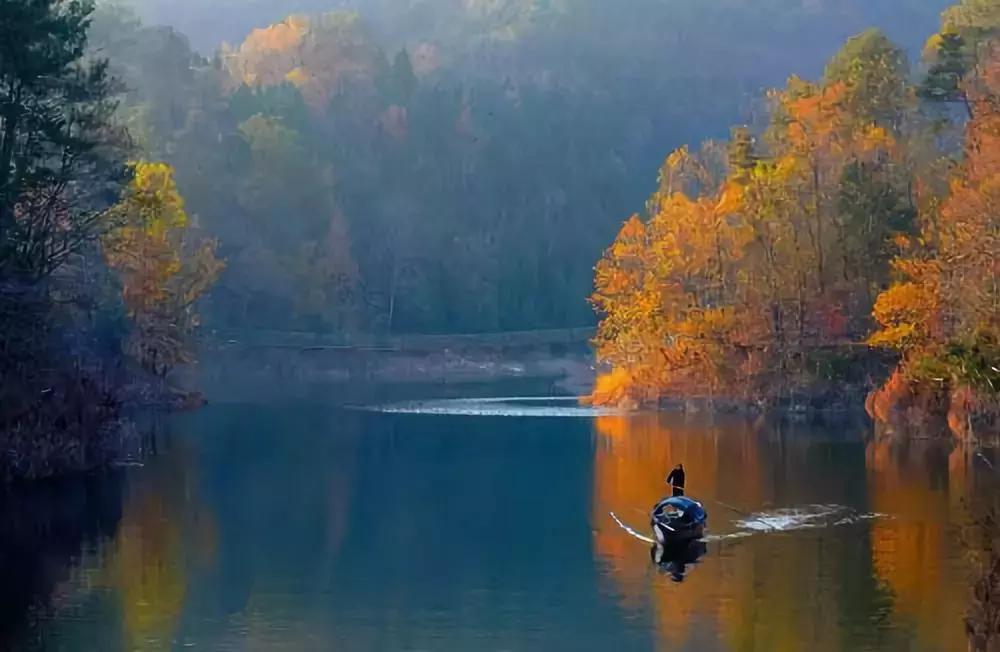 人均350+，住千岛湖最美民宿，吃大鱼头，还有私人小岛定制美拍！