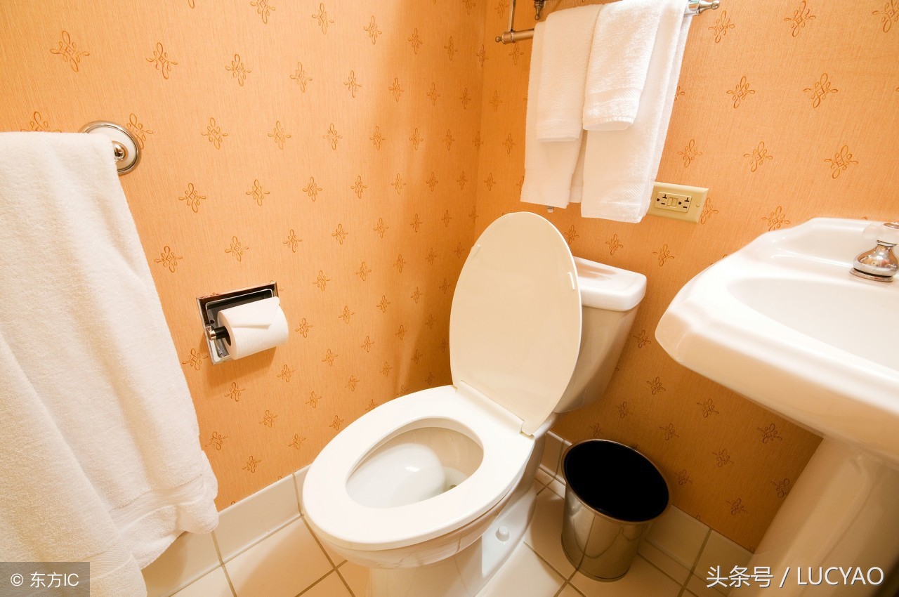 令人头皮麻的白蚁,让人皮肤发麻的虫子