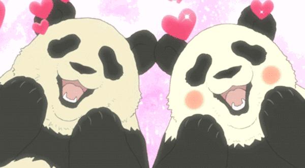 国庆厦门中山公园动物园,国庆打卡厦门