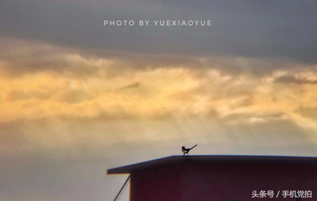 如何判断“日落还是日出”的画面?教你3招巧识别!