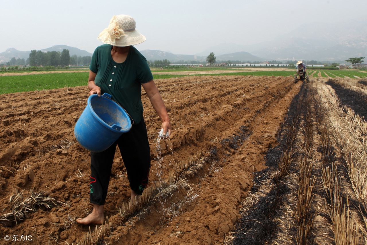 果树烂根小妙招视频,莲雾果树水浇太多烂根能救活吗