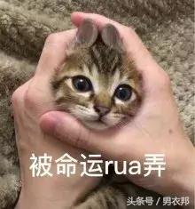 刚入职年轻人怎么穿,初入职场要穿得正式吗