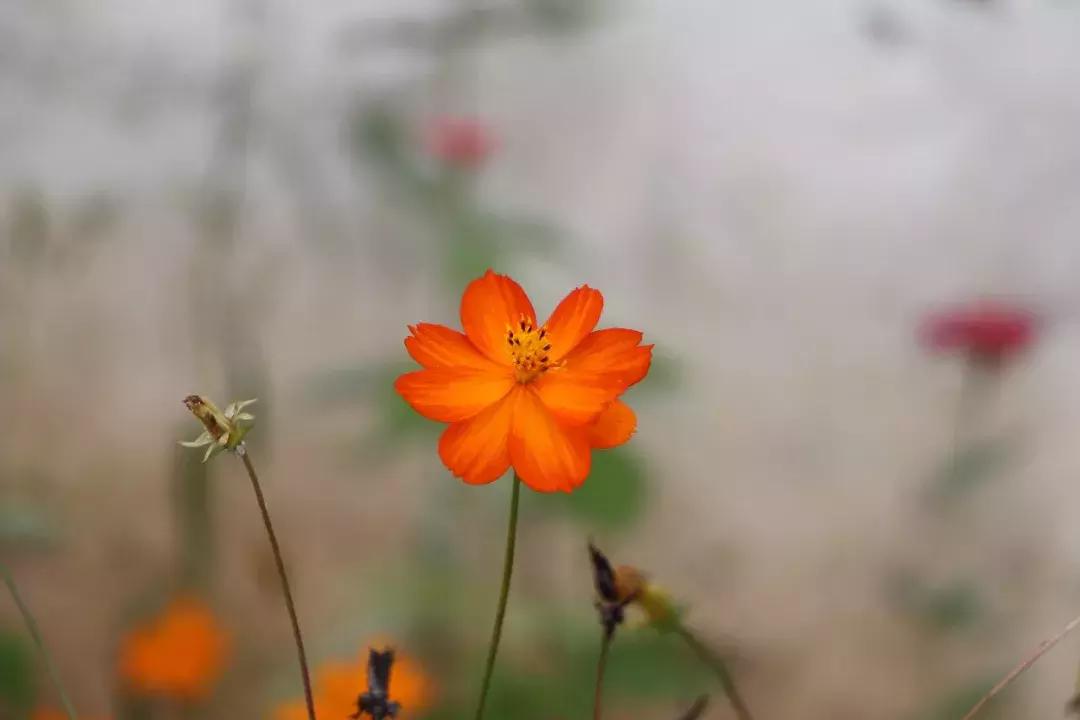 写给自己一无所有的句子,当你一无所有的时候的感悟