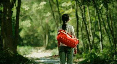 油桐的花开季节,油桐花开画面超级漂亮