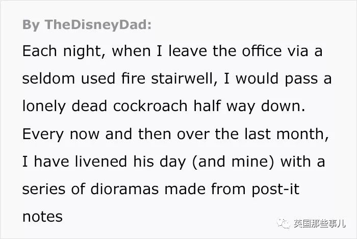 在卧室里发现一只死蟑螂,卧室发现一只死蟑螂