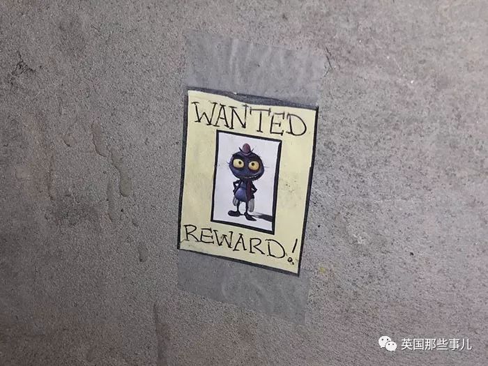 在卧室里发现一只死蟑螂,卧室发现一只死蟑螂