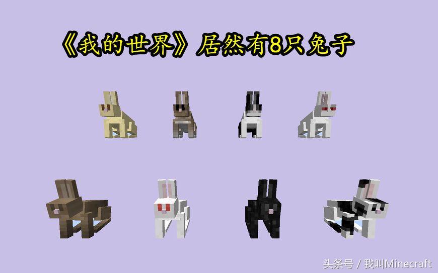 我的世界兔子的种类,我的世界兔子真正身份