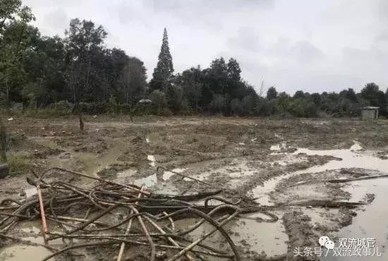 双流违规别墅拆除补偿多少,成都市双流区违建名单