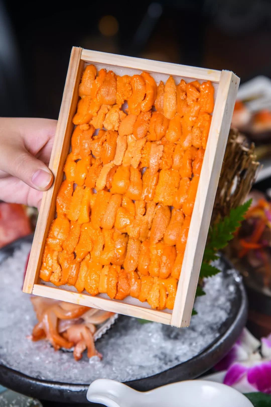 鹅肝海胆不限量北京,法式鹅肝海胆