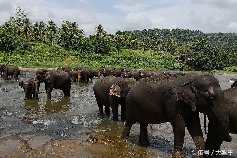 开学“B计划”之，印象斯里兰卡（一）！