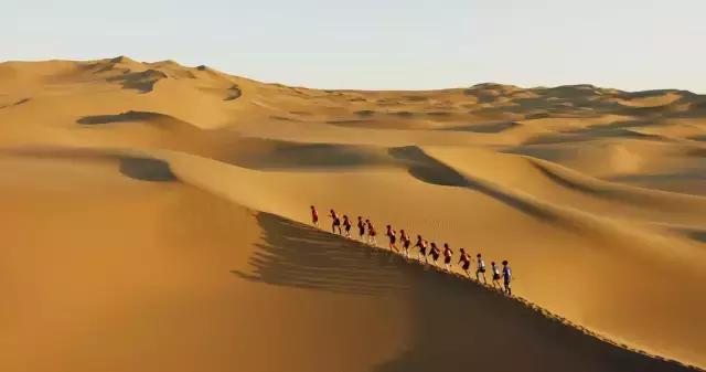 *疆新**，你除了牛羊还有什么？