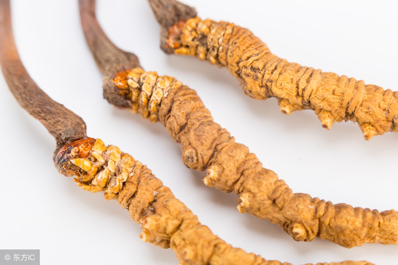 病后体虚滋补药,补虚的中成药有哪些