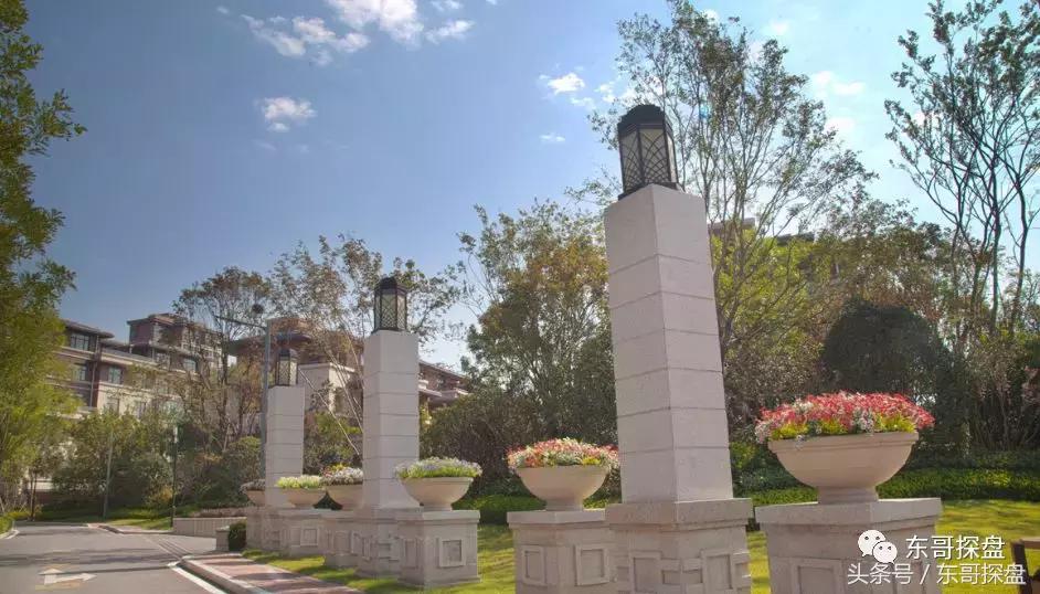 最后一栋瞰湖小高层,瞰湖小高层