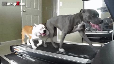 不买遗憾买了后悔的车,不买后悔系列