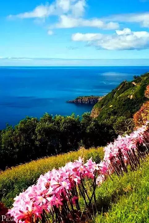 我喜欢旅行不是因为我多有钱,去旅行不是因为有钱有时间