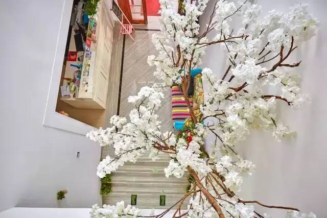 杭州浙大玉泉校区能做饭的民宿,杭州绝美的10间民宿