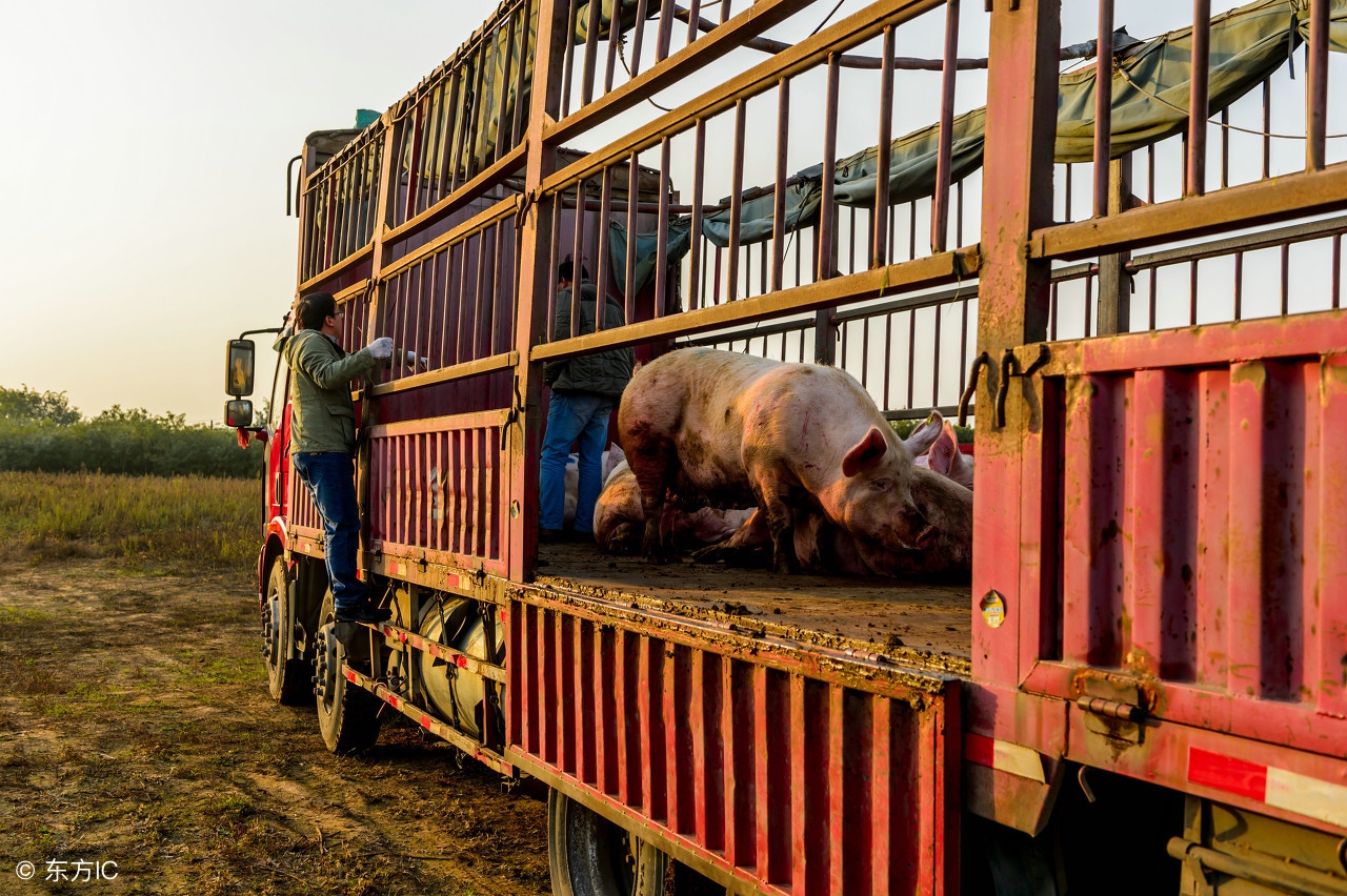 养殖场有环保手续算违建吗,禁养区养殖场有环保关停补偿吗