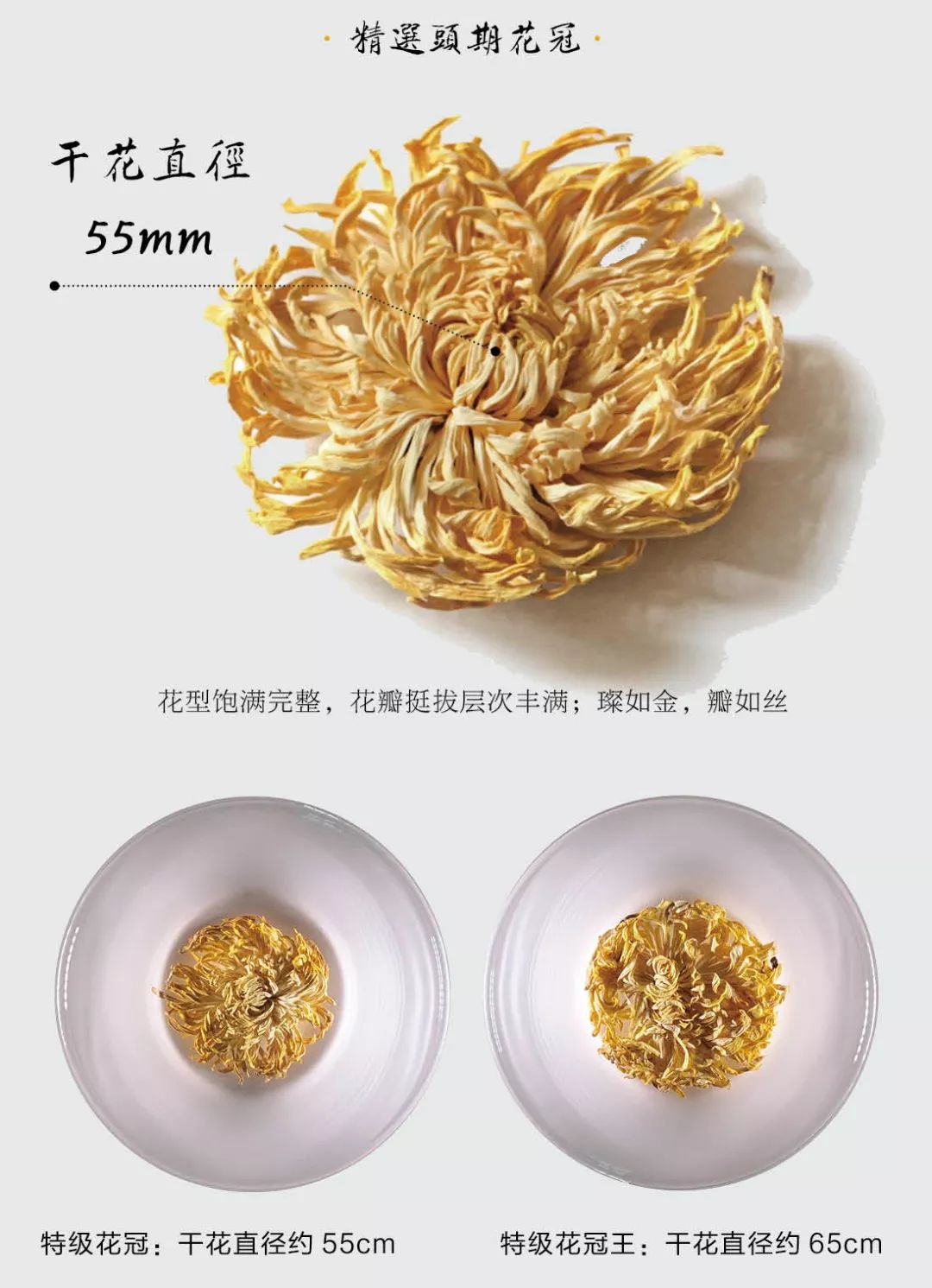 婺源金丝皇菊的故事,一朵一泡金丝皇菊