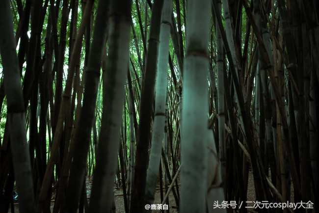 剑侠情缘网络版叁少林cos，温柔俊美，我居然有了种心动的感觉