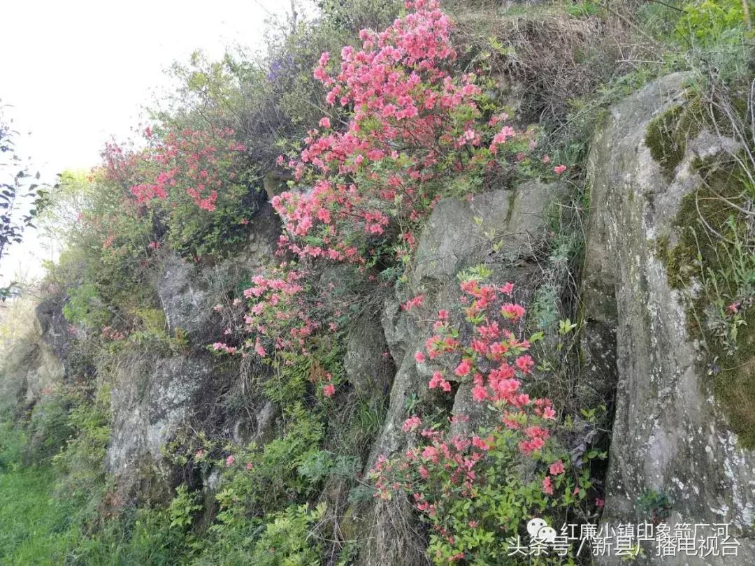 鄂豫皖红色革命根据地,红色之地新县
