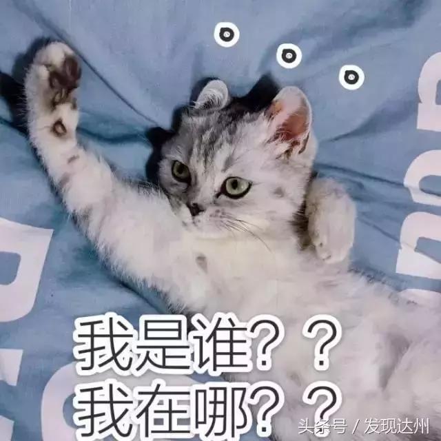 我在达州早高峰的公交车上,遇见了真正的勇士!