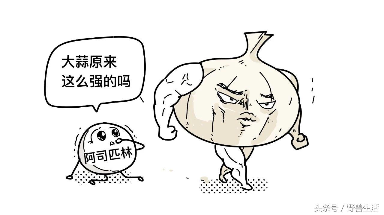 大蒜片一天吃多少最好,大蒜的保健吃法和注意点