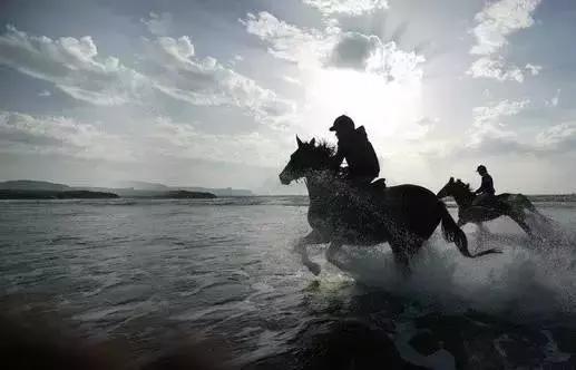 女人挣钱不是责任而是价值,男人挣钱叫责任女人挣钱叫尊严