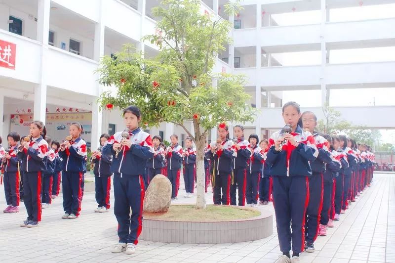 赣州少年宫有哪些培训,乡村学校少年宫的作用和意义