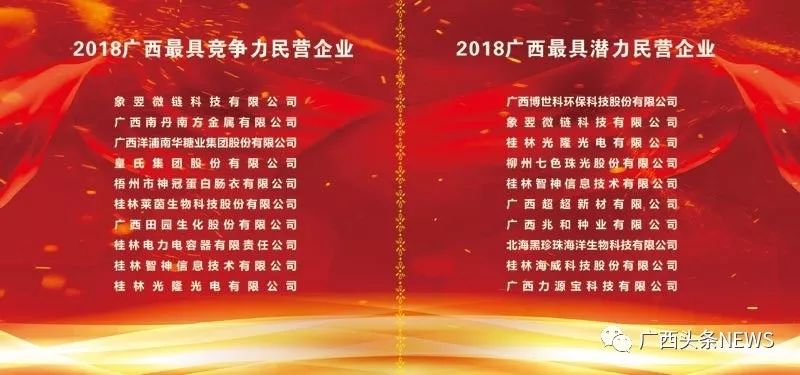 广西民营企业前十名是哪些,广西民营企业纳税前十强