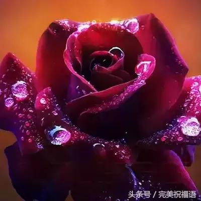 十一送鲜花,十一朵玫瑰送朋友