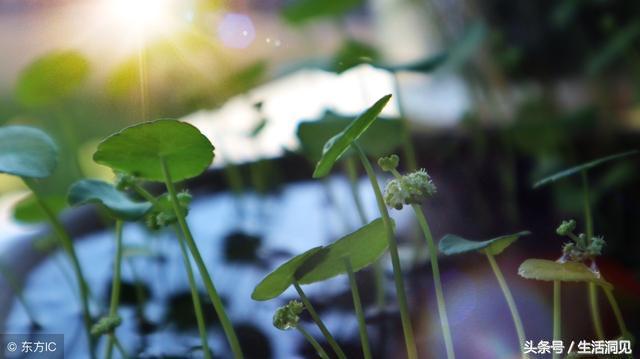 闷声发财的人30岁后的变化,人到中年要学会闷声发大财