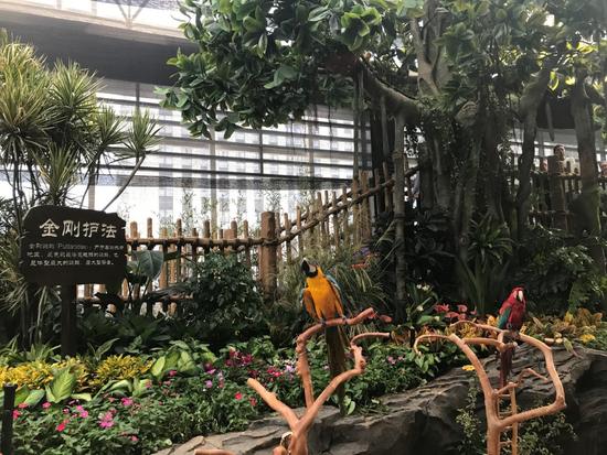 蝶舞生活倾城绽放杭州首个蝴蝶公园在西溪欢乐城盛大开园