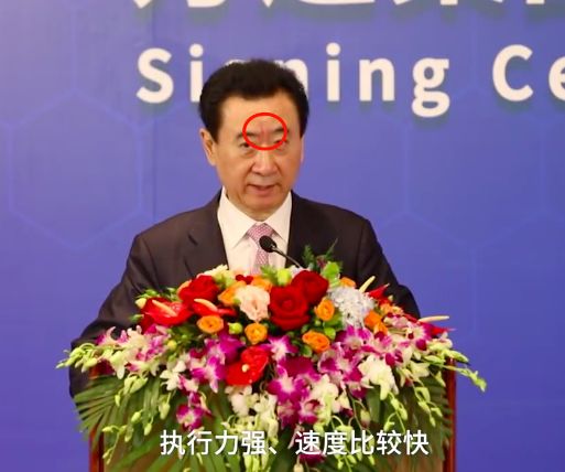 王健林强效执行力训练,王健林企业管理执行力