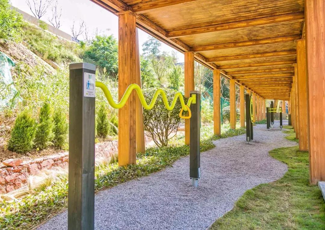 郑州足球小镇有真草足球场吗,郑州足球小镇现状