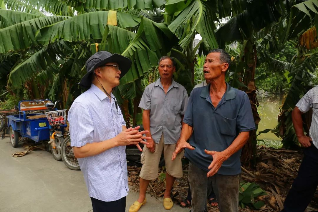 台风后复工复产工作方案,东莞麻涌复工复产进度