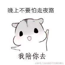 公交线路新开,市区8条公交线路运营时间调整