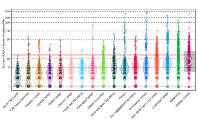 国际上最新研发治癌症的药,中国科学家的癌症免疫疗法