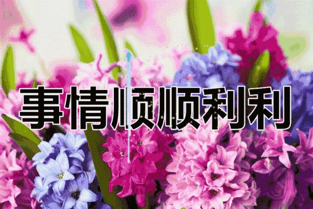 会动的美丽的图片,会动的照片绝美