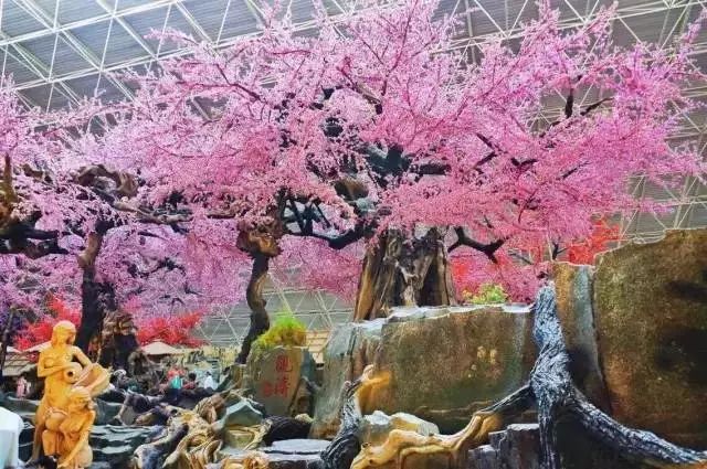 玩遍辽宁省,游遍大连的路线